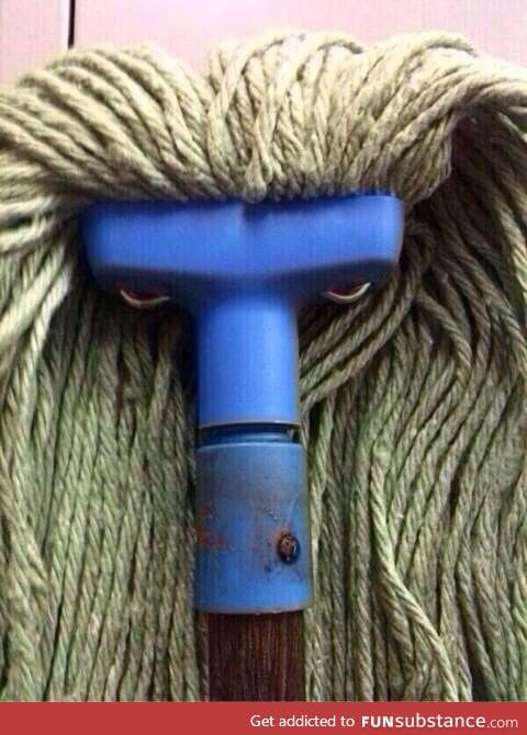 This mop looking so angry