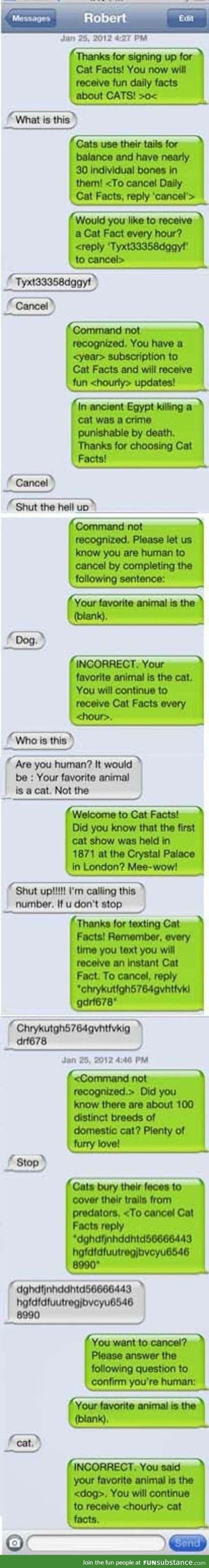 Cat FActs