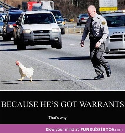 Why did the chicken cross the road?