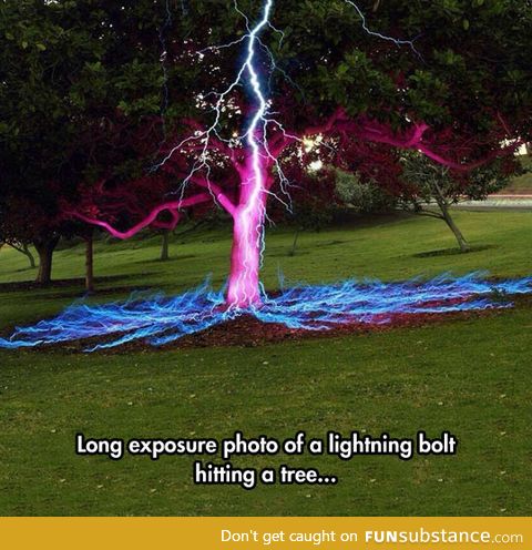 Lightning Hitting a Tree