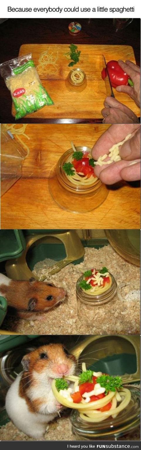 Pasta for mouse