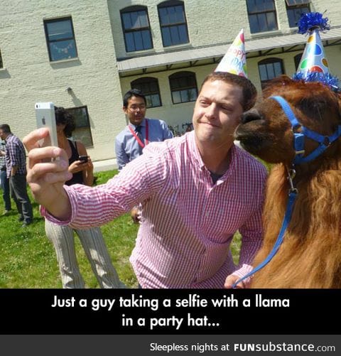 The llama was the soul of the party