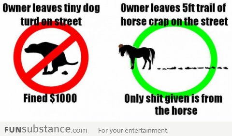 Animal shit logic