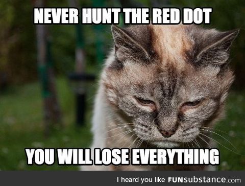 Advice from a wise old cat