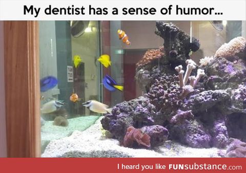 What an awesome dentist