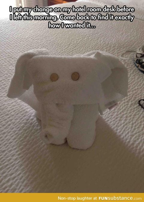 Elephant towel