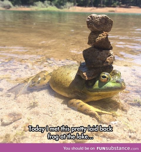 Frog balance