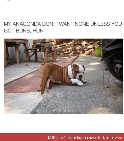 MY ANACONDA DON'T