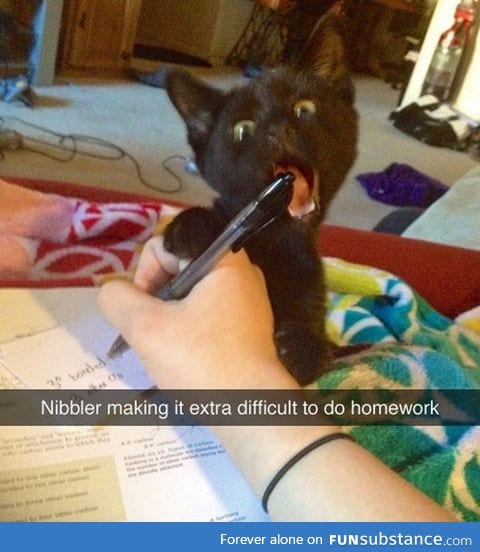 Nibbler