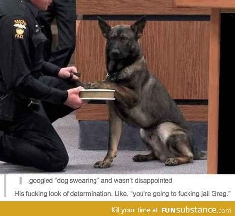 K9