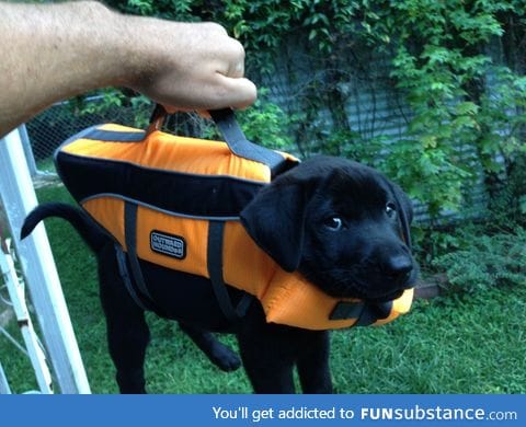 I almost forgot my briefcase! It has important lab results