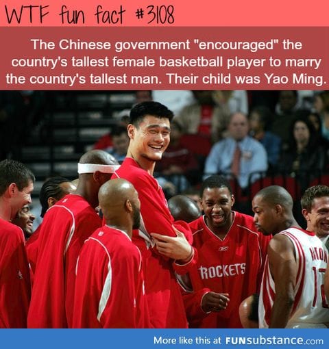 How Yao Ming was created