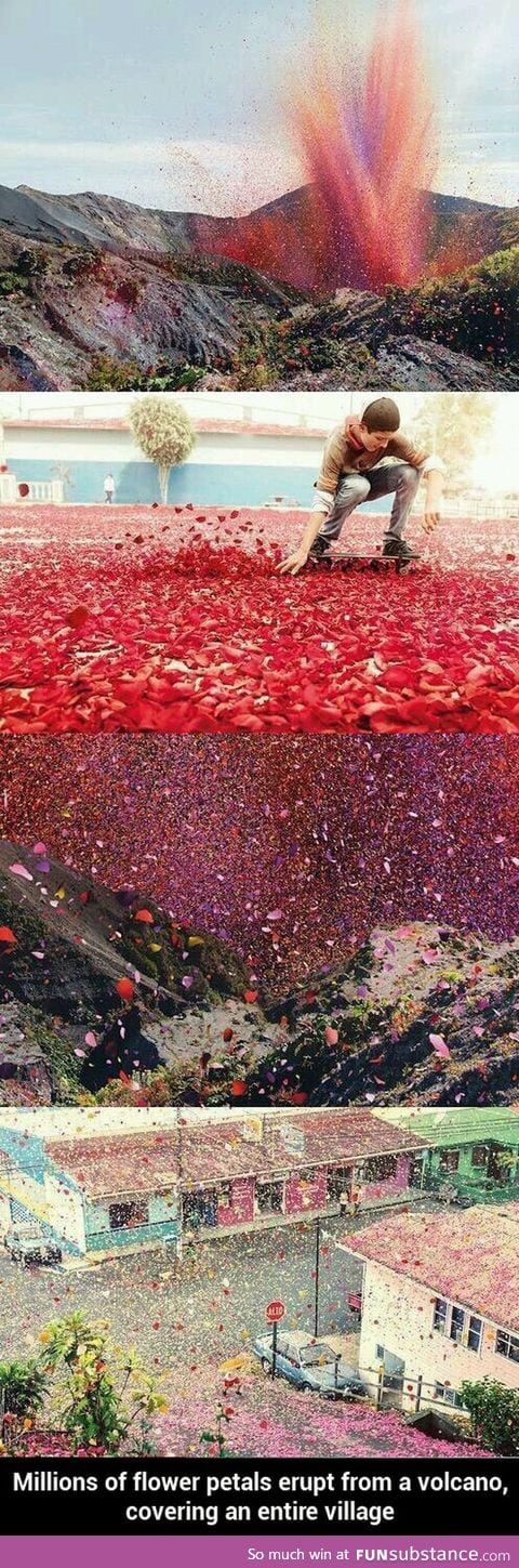 Flower petal rain