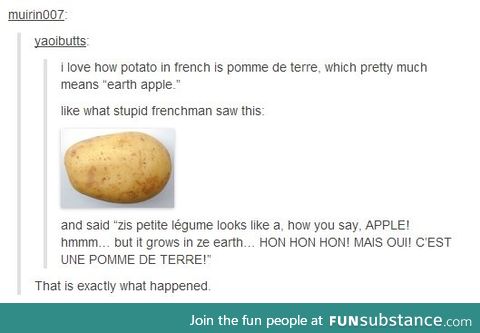 HON HON HON BAGUETTE POMME DE TERRE