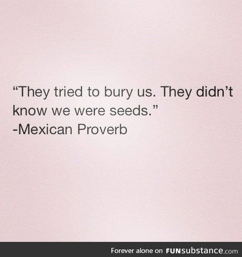 Mexican proverb