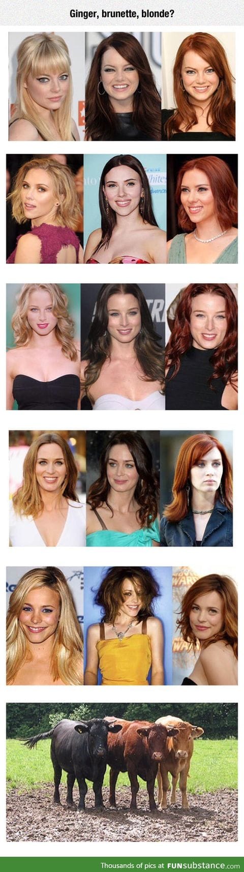 Blonde, Brunette, Ginger?