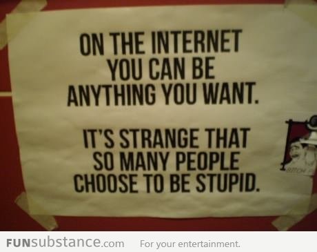 Stupid people on the Internet