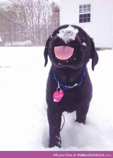 Day 30 of your daily dose of cute: The tongue week continues