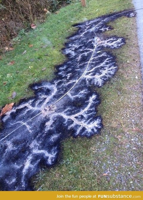 Burned pattern from a downed electrical line