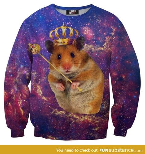 Googled "hamster in a sweater".was no t dissapointed