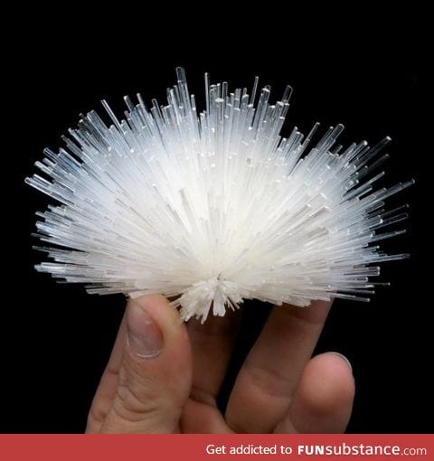 Scolecite