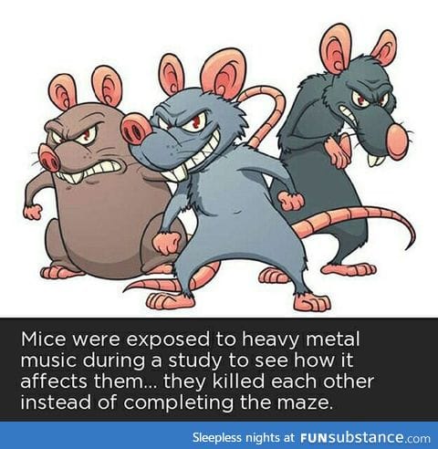 Mouse Moshpit