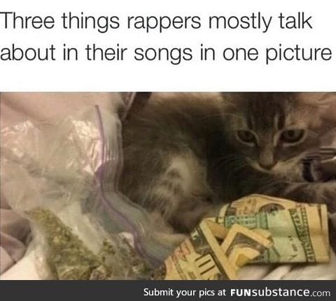 What almost every rap song is about