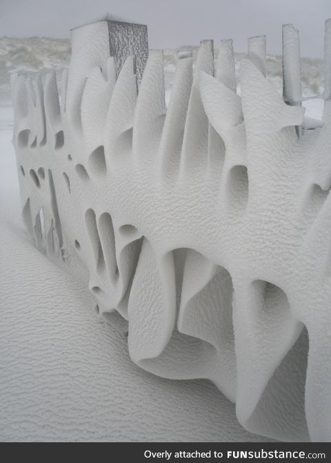 fence after a snowy night on Terschelling