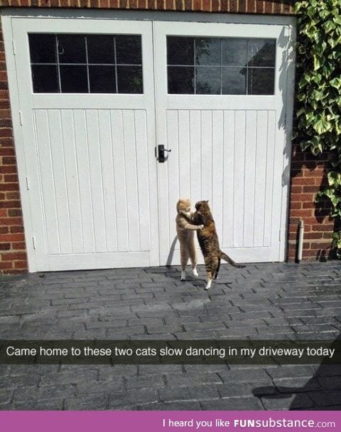 Slow dancing