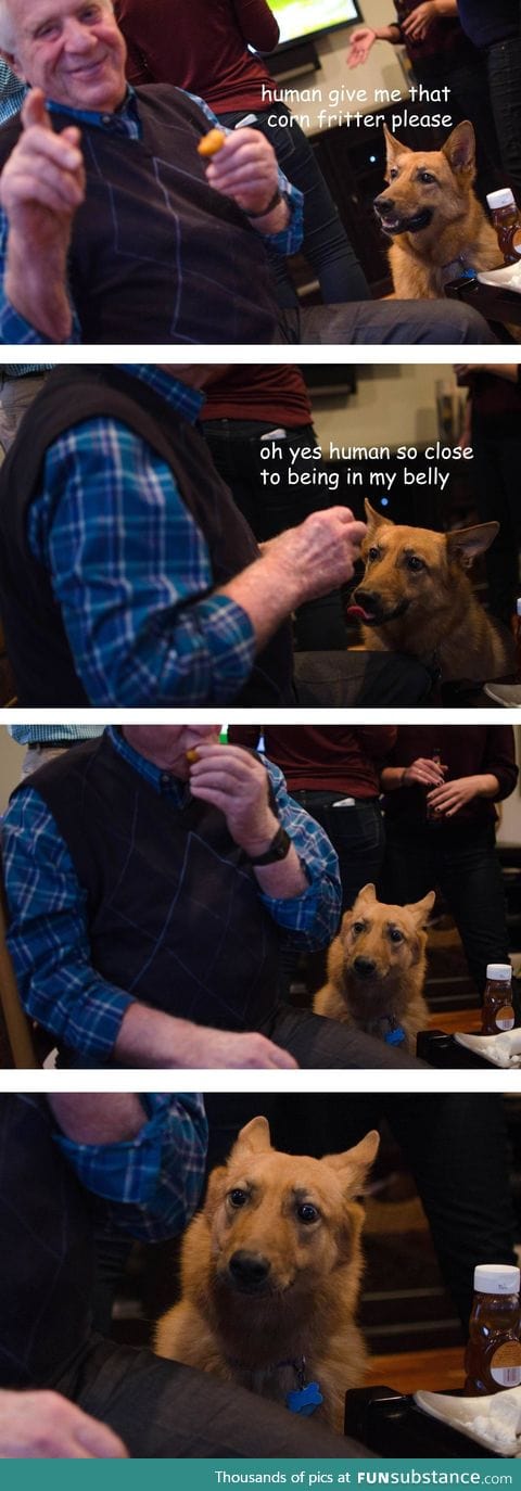 The story of Shay (almost) eating a corn fritter