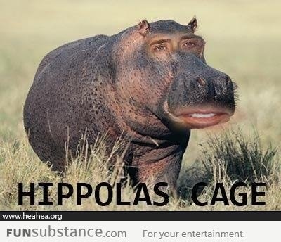 Hippolas Cage