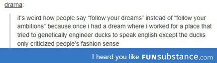 Please follow your dreams!