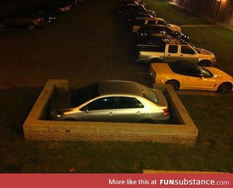 Parallel parking world champion