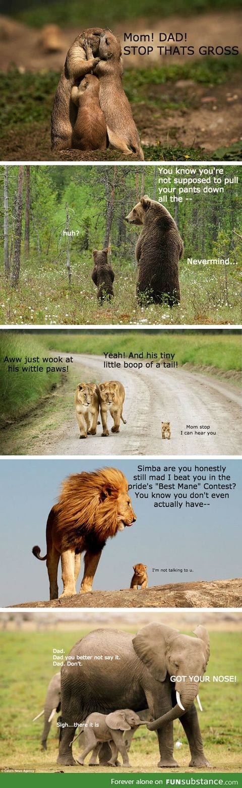 The animal kingdom and their kids