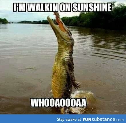 Walking on Sunshine