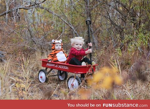 Calvin and Hobbes out for a ride