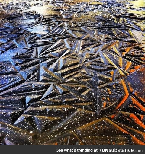 Geometric pond ice in southern oregon