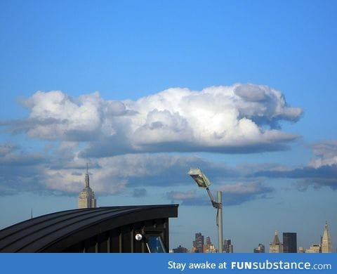 Dog shaped cloud