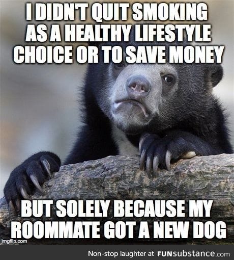 Dog>roomate