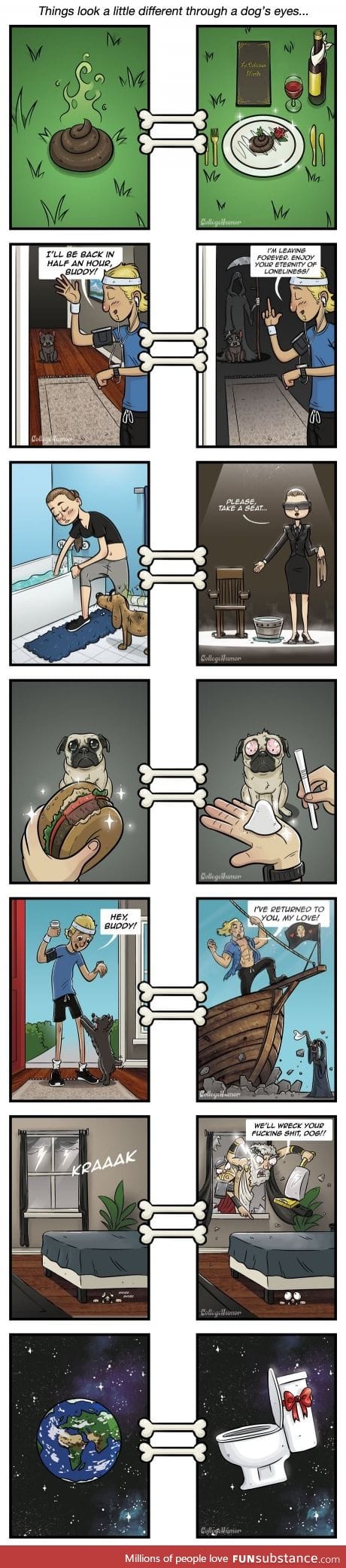 the world through a dog's eyes