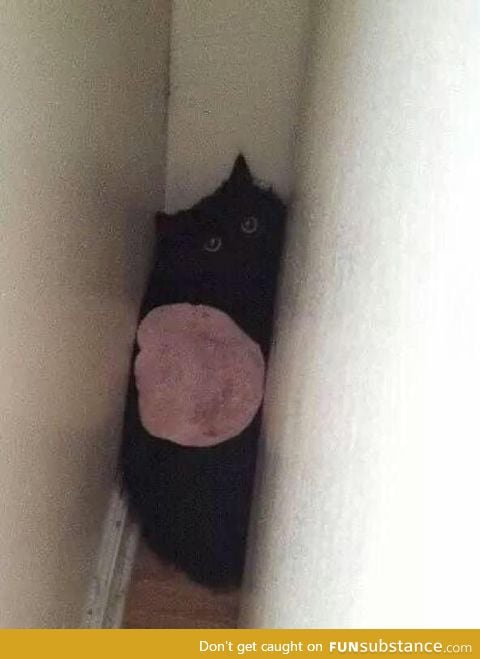 When your cat gets stuck in the wall and you throw ham on it