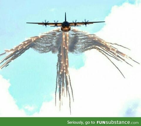 Wings of death