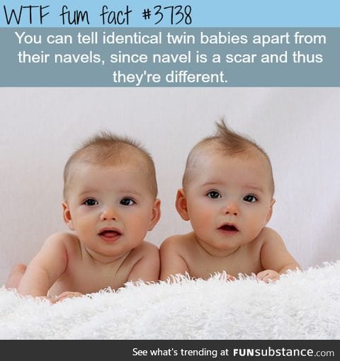 How to tell twins apart