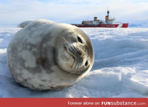 February in Antarctica