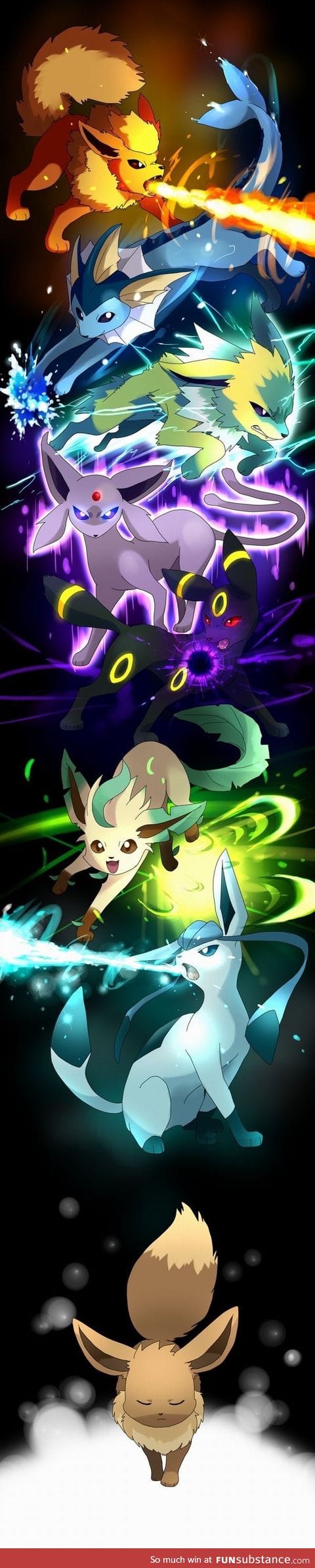 The majestic evolutions of Eevee