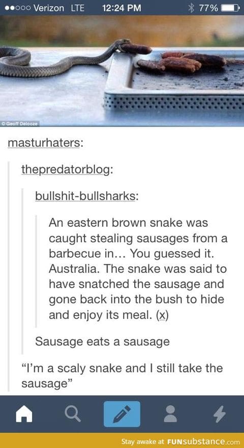 Sausage