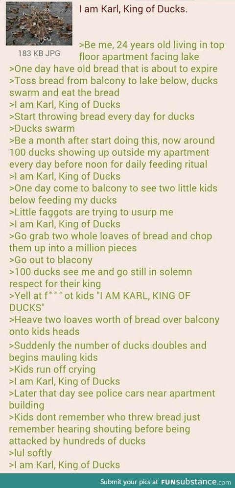 Never Trust A Duck