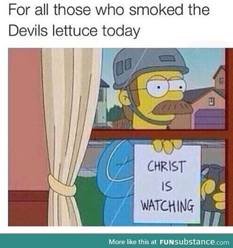 Devils lettuce