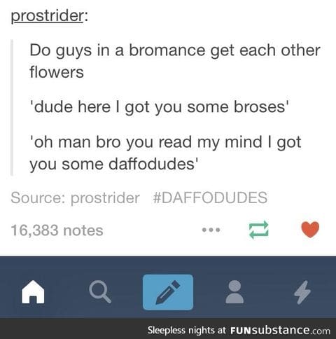 "Daffodudes"