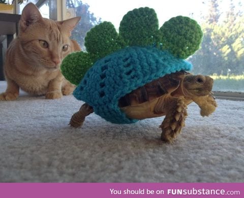 Day 179 of your daily dose of cute: Look at that mighty stegosaurus